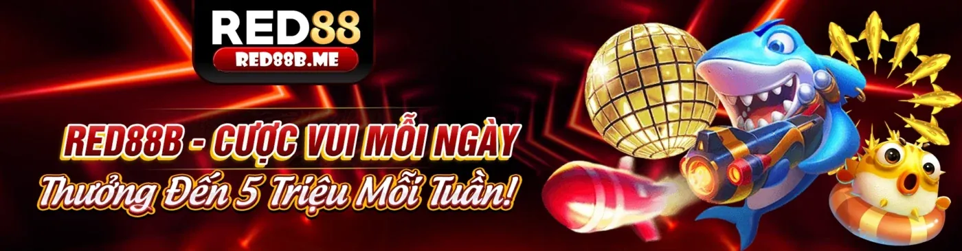 Cá cược bóng rổ tại 88ck